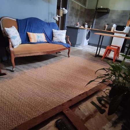 Studio 1 Chambre Ideal Salaries Nomades Montauban Exteriér fotografie