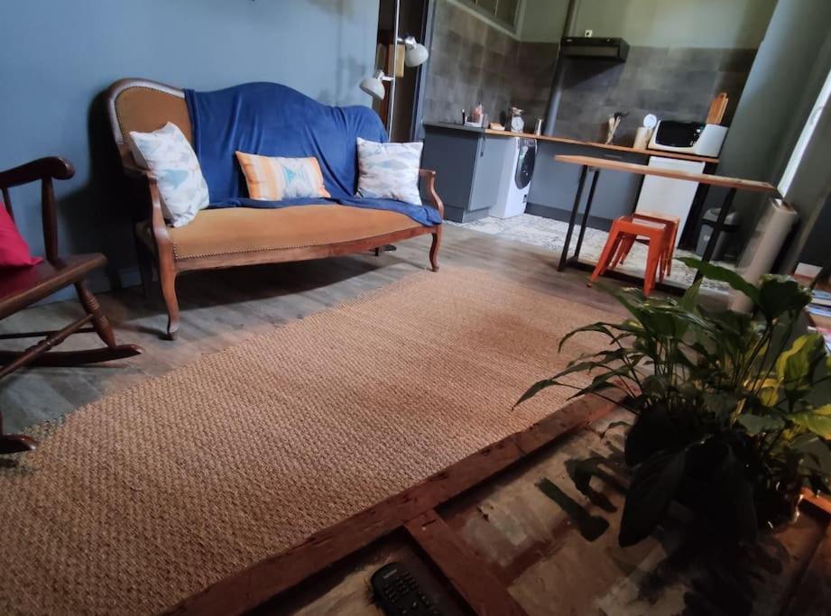 Studio 1 Chambre Ideal Salaries Nomades Montauban Exteriér fotografie